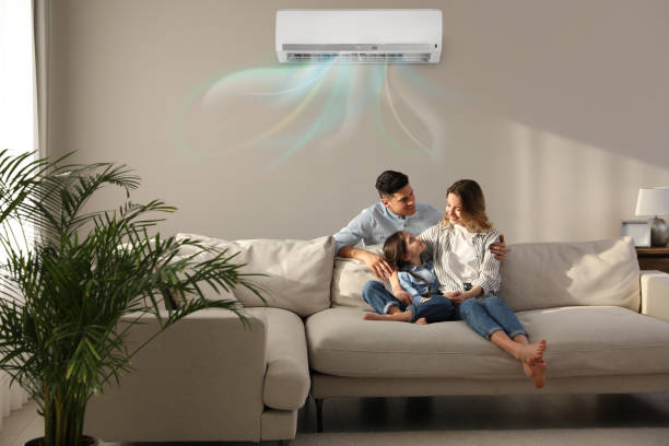 Best HVAC cleaning services  in Christopher, IL